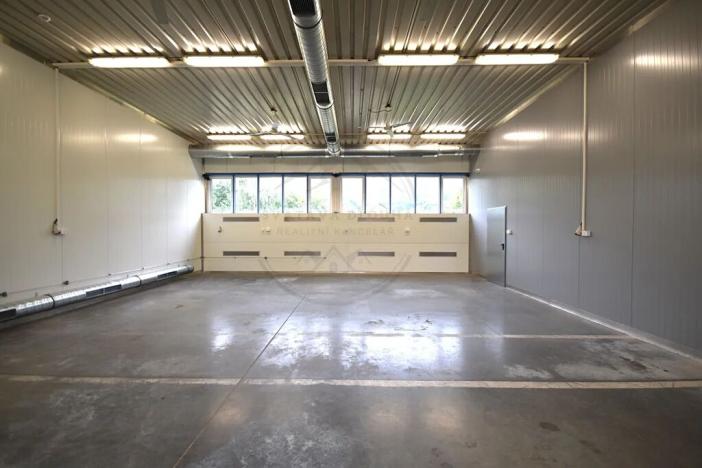 Pronájem výrobních prostor, Česká Ves, Polská, 2190 m2