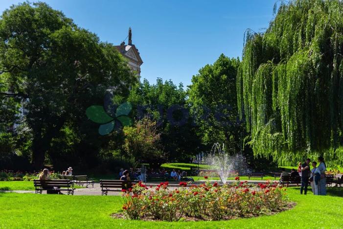 Prodej bytu 1+kk, Praha - Nové Město, Příčná, 30 m2