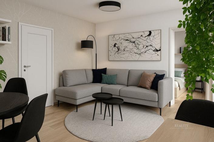 Prodej bytu 2+kk, Plzeň - Východní Předměstí, Francouzská třída, 57 m2