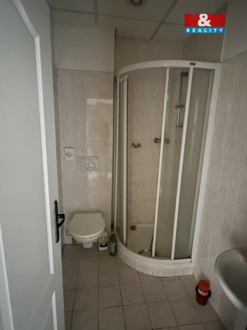 Prodej rodinného domu, Zásada, 600 m2