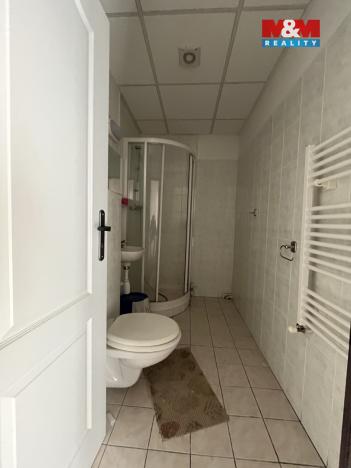 Prodej ubytování, Zásada, 600 m2