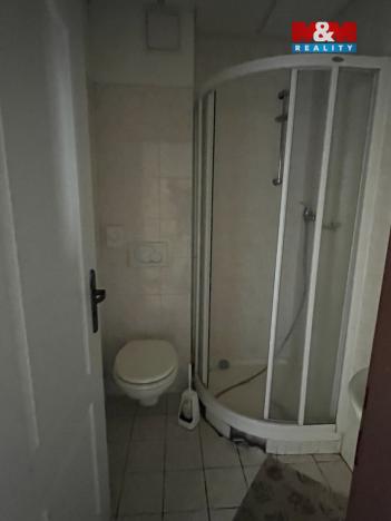 Prodej ubytování, Zásada, 600 m2