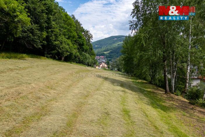 Prodej pozemku pro bydlení, Jeseník, Thámova, 4992 m2