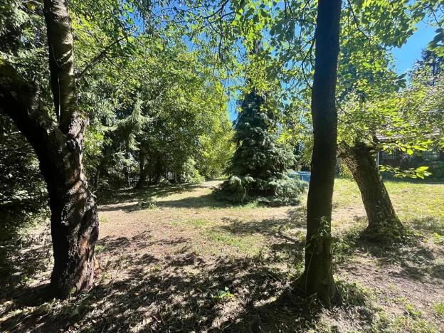 Prodej chalupy, Suchdol, 160 m2