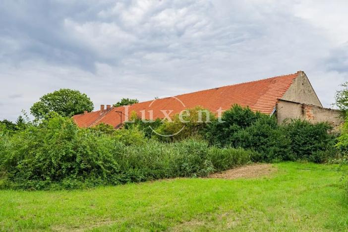 Prodej zemědělské usedlosti, Běrunice, 600 m2