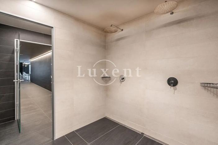 Pronájem bytu 4+kk, Praha - Smíchov, Holečkova, 174 m2