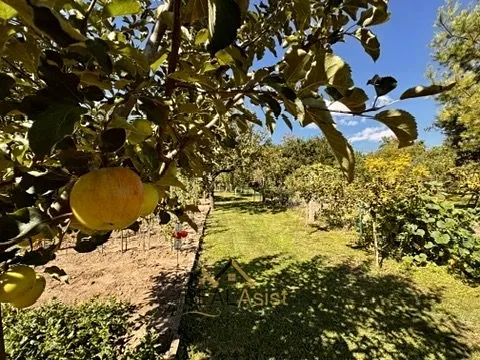 Prodej rodinného domu, Rajhrad, 95 m2