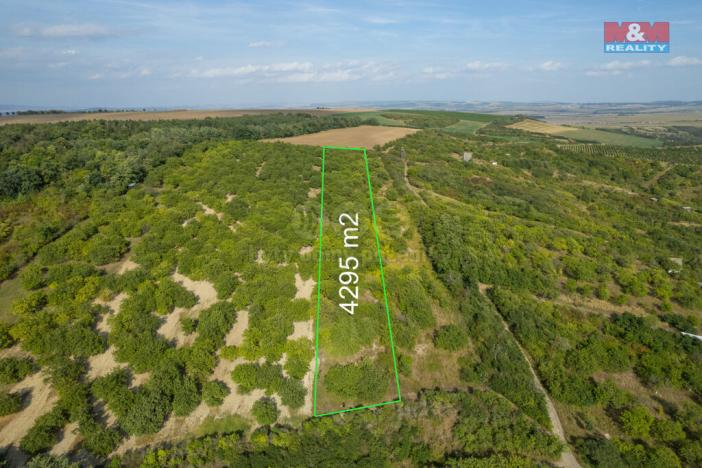 Prodej pole, Židlochovice, 4295 m2