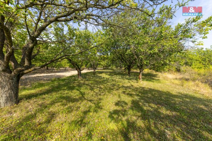 Prodej pole, Židlochovice, 4295 m2
