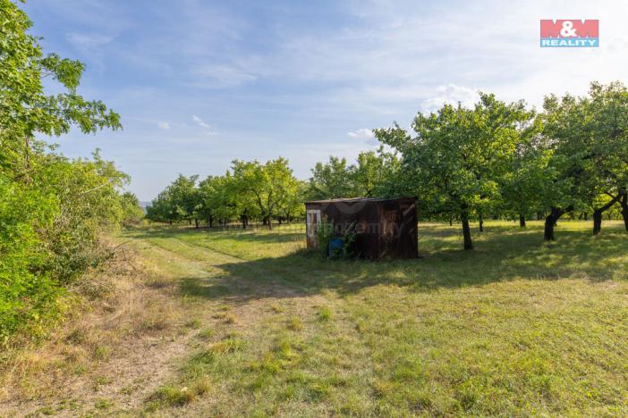Prodej pole, Židlochovice, 4295 m2