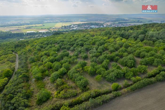 Prodej pole, Židlochovice, 4295 m2