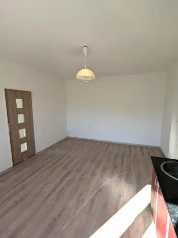 Pronájem bytu 2+kk, Ústí nad Labem, Mlýnská, 54 m2