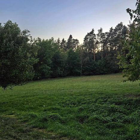 Prodej zemědělské usedlosti, Slabčice, 109 m2