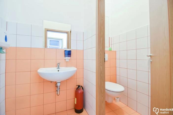 Prodej komerční nemovitosti, Olomouc, Družební, 102 m2