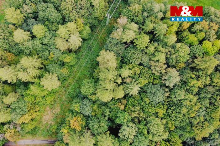 Prodej zahrady, Kostelec nad Černými lesy - Kostelec nad Černými Lesy, 10316 m2