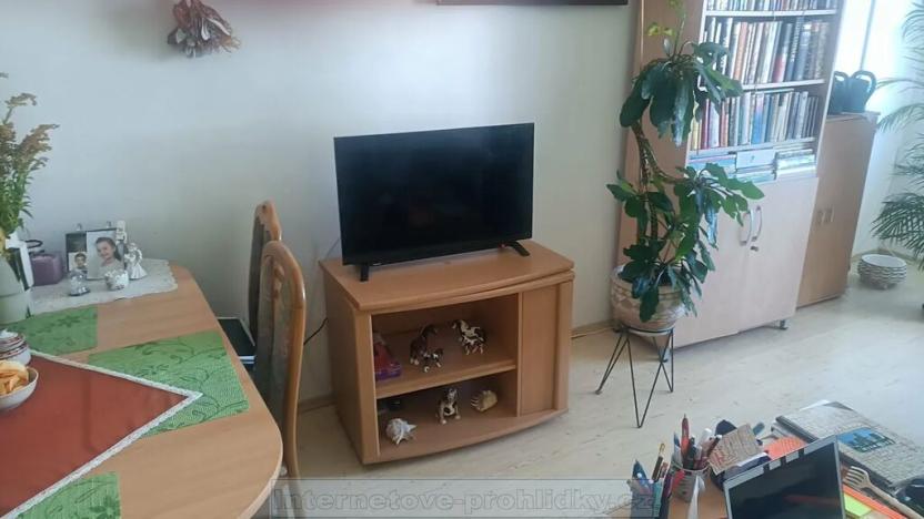 Pronájem pokoje, Praha - Chodov, Hráského, 17 m2