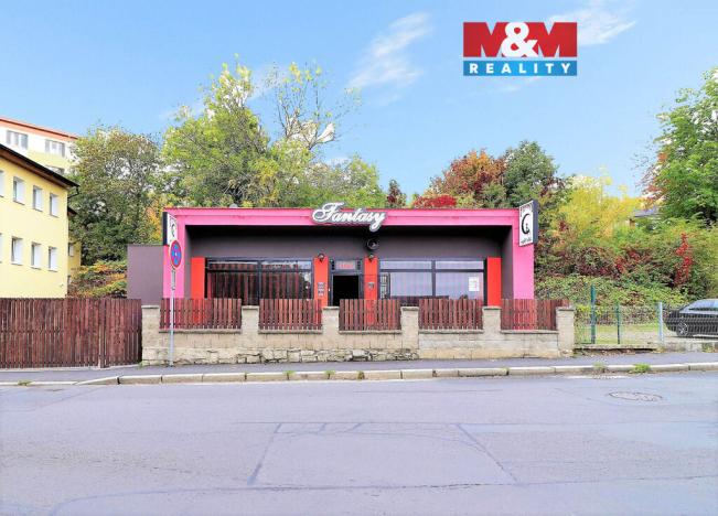 Pronájem obchodního prostoru, Cheb, Havlíčkova, 170 m2