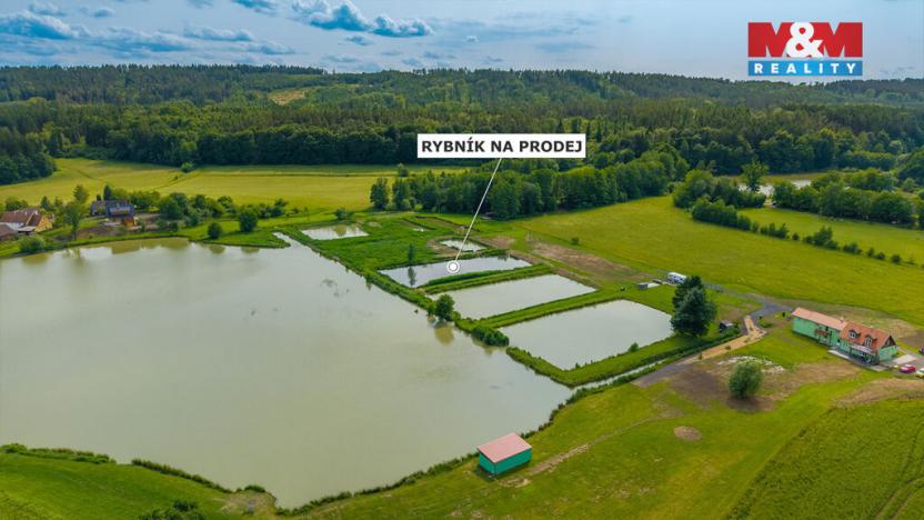 Prodej rybníku, Ostružno, 3377 m2