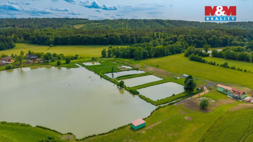 Prodej rybníku, Ostružno, 3377 m2