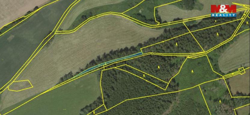 Prodej lesa, Borovnice, 38344 m2