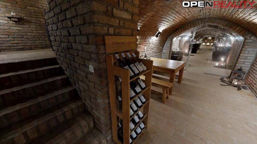 Prodej vícegeneračního domu, Dolní Bojanovice, Vinařská, 367 m2