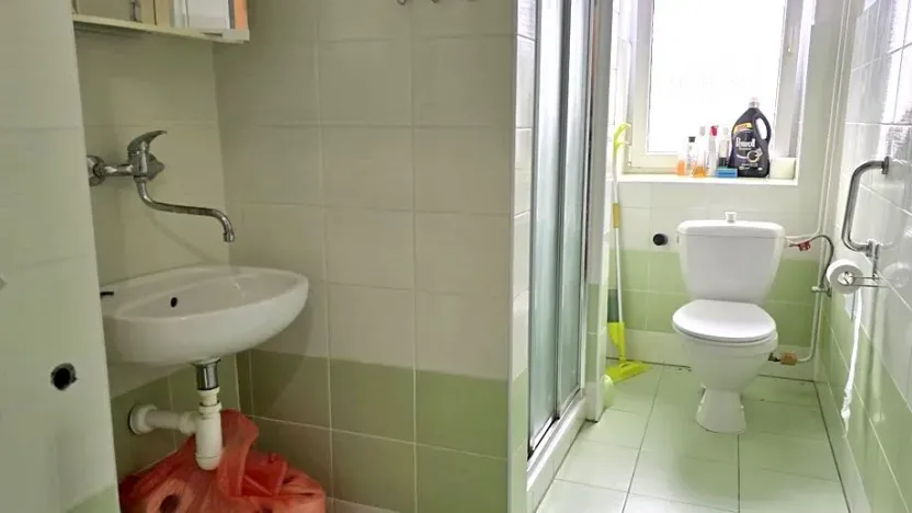 Prodej bytu 1+1, Mladé Buky, 49 m2