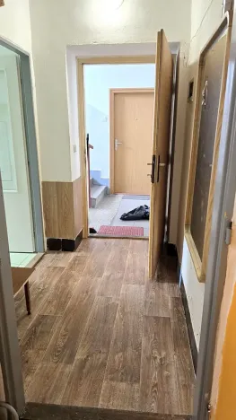 Prodej bytu 1+1, Mladé Buky, 49 m2