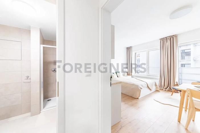 Pronájem bytu 1+kk, Brno, Spolková, 31 m2