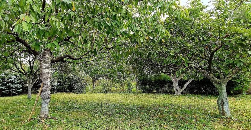 Prodej rodinného domu, Ořechov, Divadelní, 135 m2