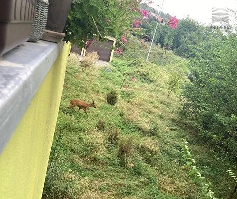 Prodej bytu 4+1, Brno, Absolonova, 105 m2