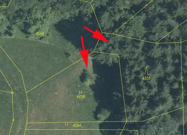 Prodej lesa, Železný Brod, 2693 m2