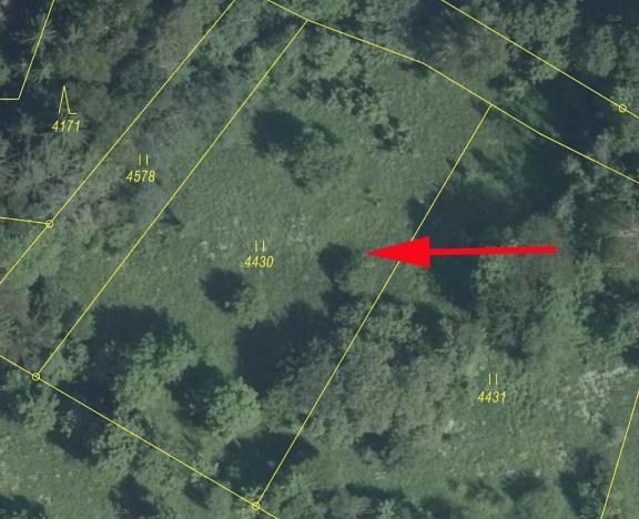 Prodej louky, Železný Brod, 2213 m2