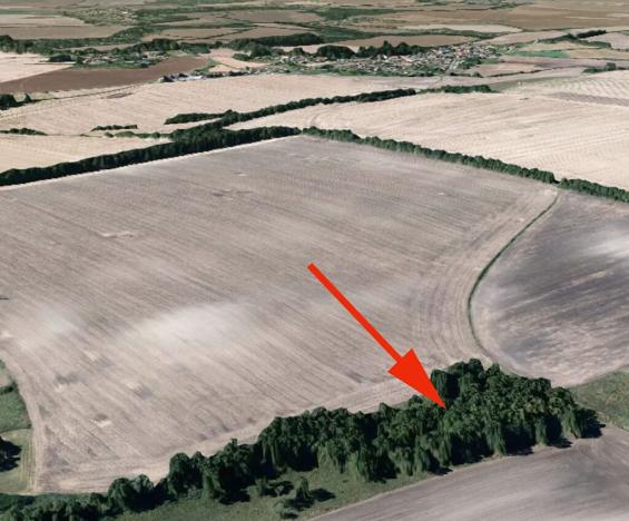 Prodej podílu lesa, Koštice, 1499 m2