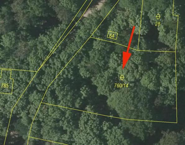 Prodej lesa, Všeruby, 1325 m2