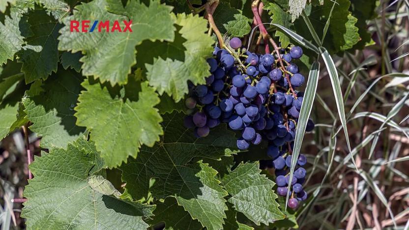 Prodej rodinného domu, Nový Oldřichov, 265 m2