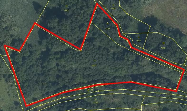 Prodej podílu louky, Březno, 4482 m2