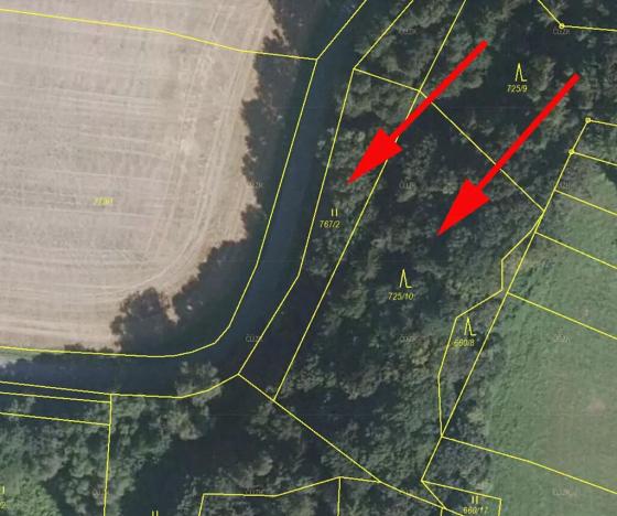 Prodej podílu lesa, Vranová Lhota, 1177 m2