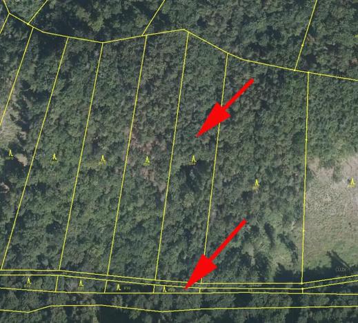 Prodej podílu lesa, Vranová Lhota, 2021 m2