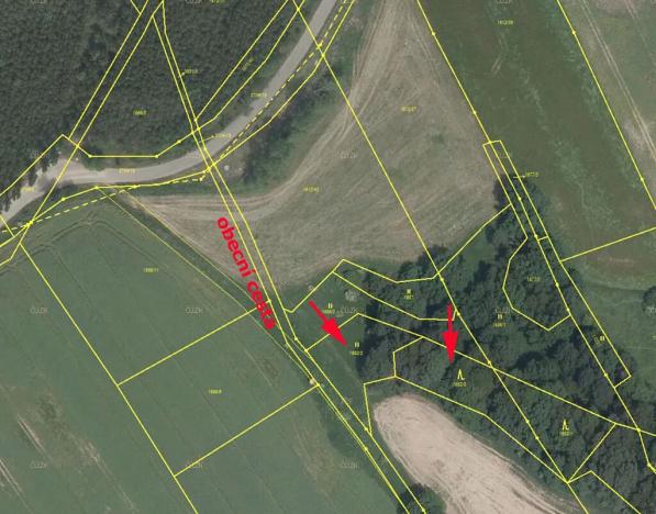 Prodej lesa, Dubnice, 2352 m2