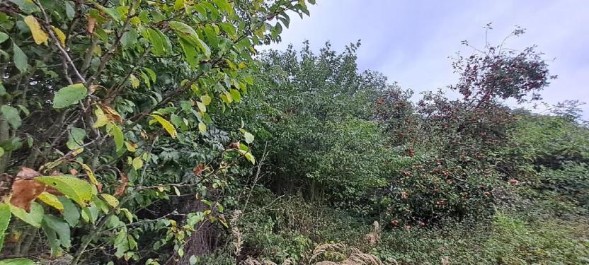 Prodej pozemku pro bydlení, Rabí, 1395 m2