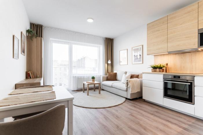 Pronájem bytu 1+kk, Brno - Brno-město, Spolková, 27 m2