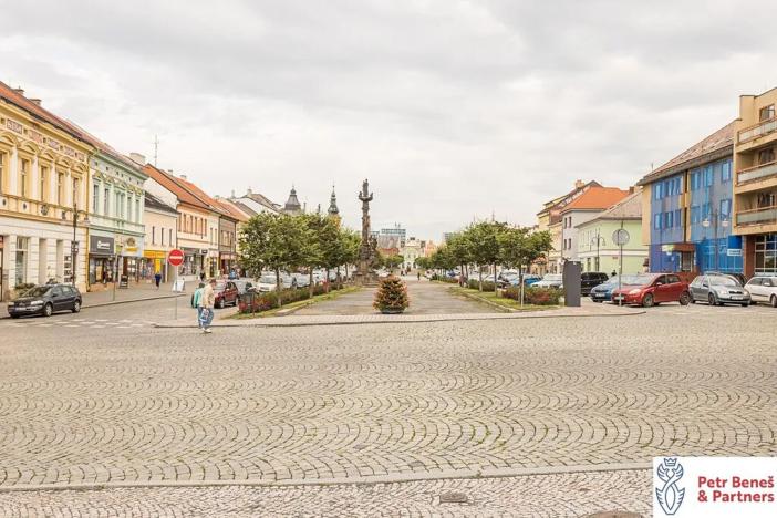 Pronájem bytu 1+1, Rakovník, Nádražní, 48 m2