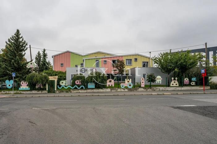 Prodej komerční nemovitosti, Praha - Strašnice, Olešská, 310 m2