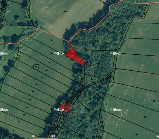 Prodej lesa, Kolinec, 5322 m2