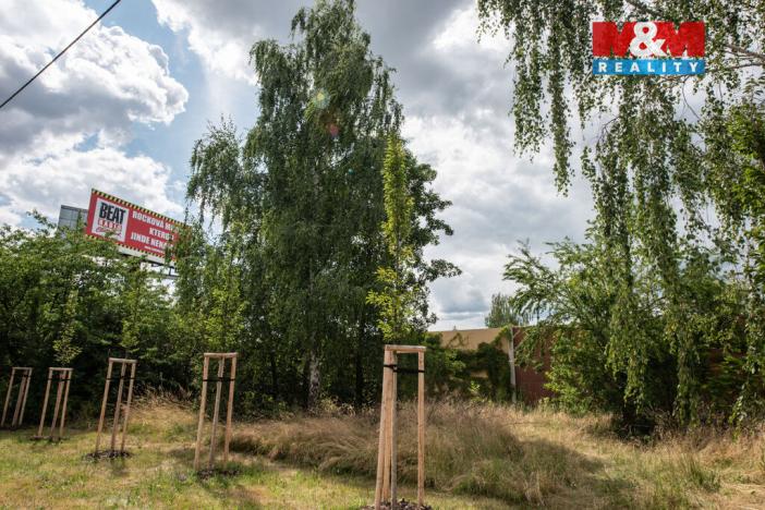 Pronájem zahrady, Pardubice, Pištorova, 1835 m2