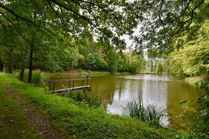 Prodej chaty, Číhošť, 75 m2