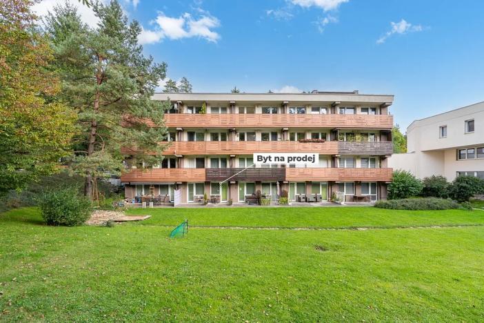 Prodej bytu 1+kk, Všemina, 23 m2