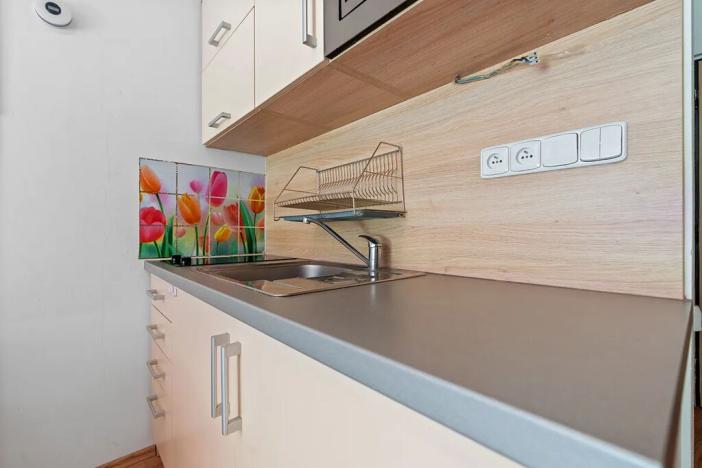 Prodej bytu 1+kk, Všemina, 23 m2