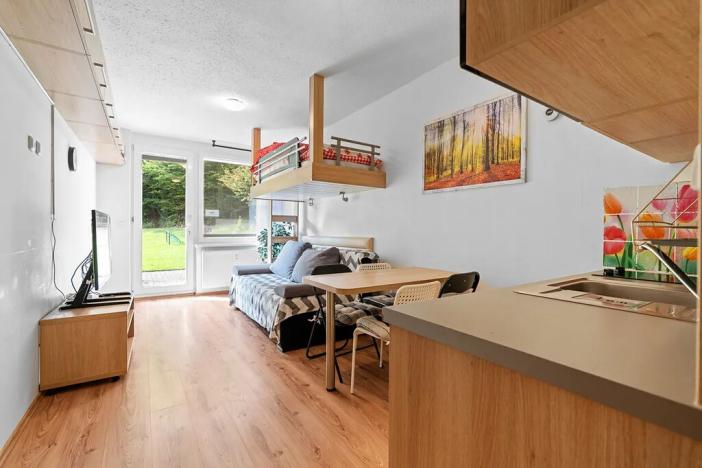 Prodej bytu 1+kk, Všemina, 23 m2