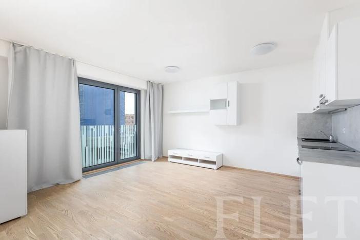 Pronájem bytu 1+kk, Praha - Žižkov, Olšanská, 41 m2